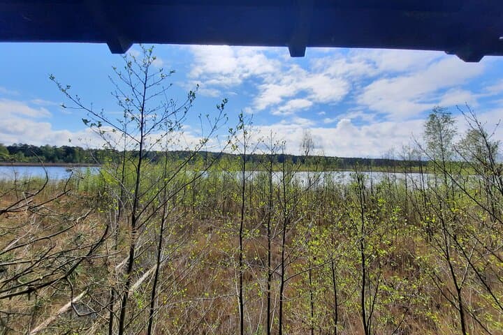 Nature Walk and Wildlife Tour in Sobieszewo Island 5