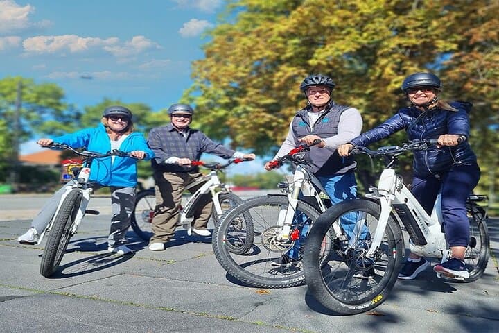 E Biking Adventure to Kronborg Castle 3