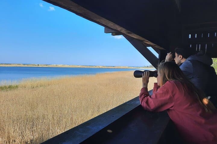 Nature Walk and Wildlife Tour in Sobieszewo Island 3