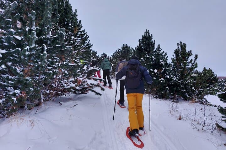 Akureyri Snowshoeing with The Traveling Viking 4