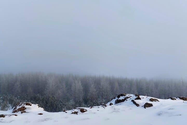 Akureyri Snowshoeing with The Traveling Viking 5