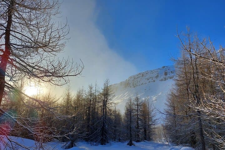 Akureyri Snowshoeing with The Traveling Viking 2