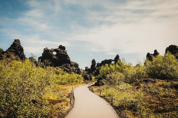 Cruise Tour Godafoss and Myvatn Lake and Dettifoss Small Group 4