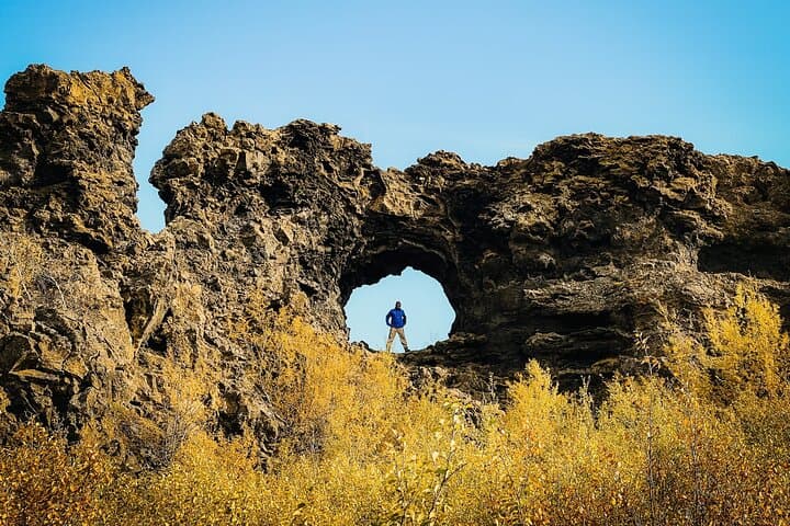 Cruise Tour Godafoss and Myvatn Lake and Dettifoss Small Group 5