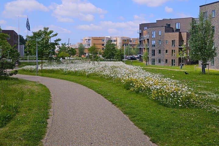 Two hour city tour through the new Odense 5