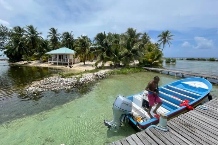 Half Day Reef Snorkel and Wildlife Tour 4