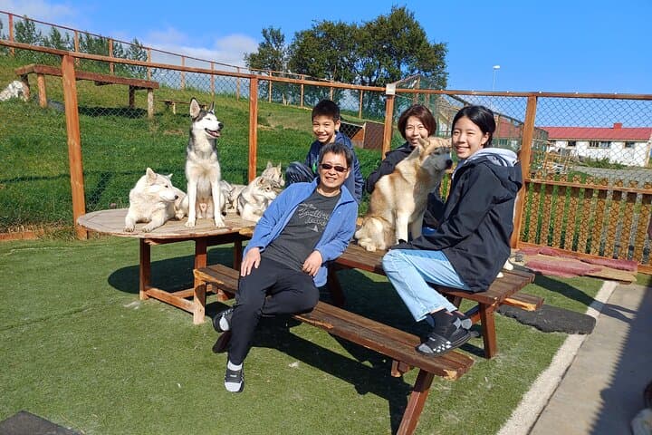 Husky Petting, in Akureyri 4