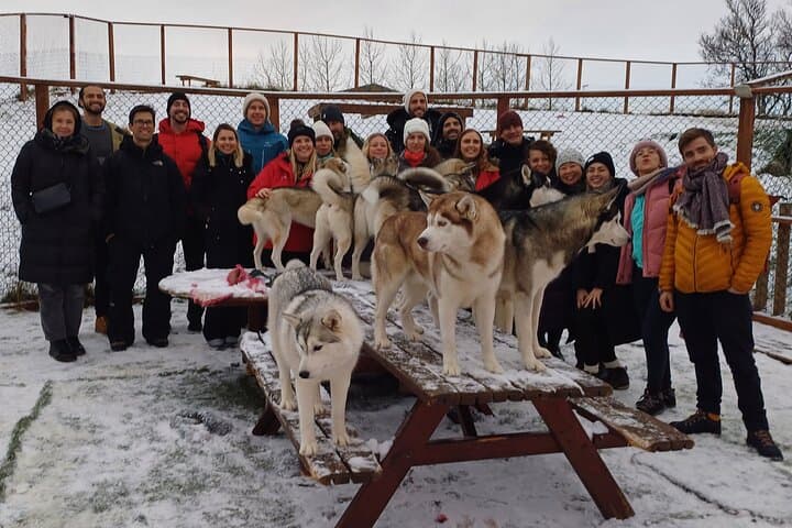 Husky Petting, in Akureyri 2