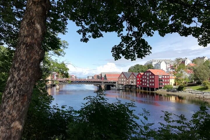 Trondheim: Discover the city of kings with a local guide 2