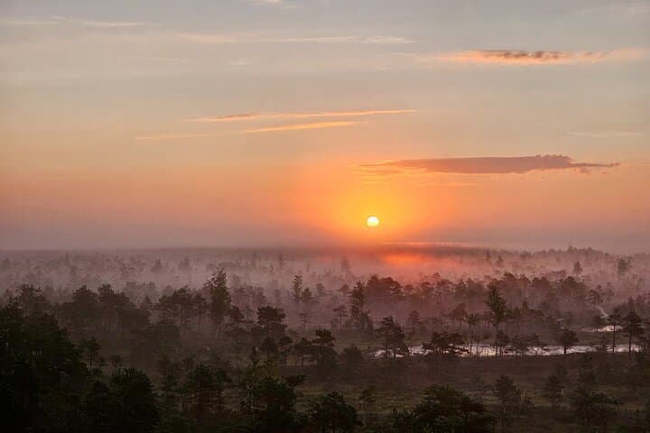 Ķemeri Great Bog Discovery With Optional Sunrise & Jūrmala Visit 4