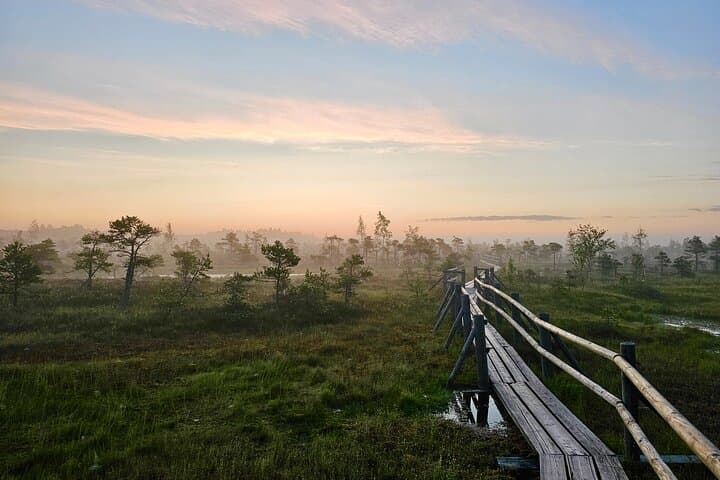 Ķemeri Great Bog Discovery With Optional Sunrise & Jūrmala Visit 5