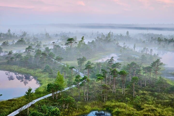 Ķemeri Great Bog Discovery With Optional Sunrise & Jūrmala Visit 2