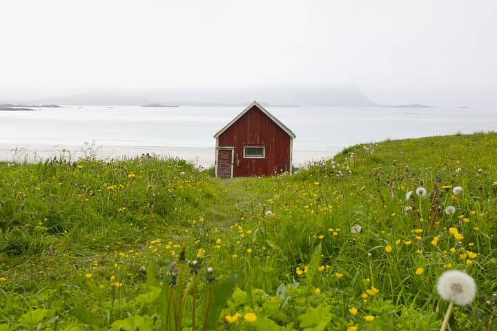 Norway Lofoten Private Shore Excursion from Leknes 4