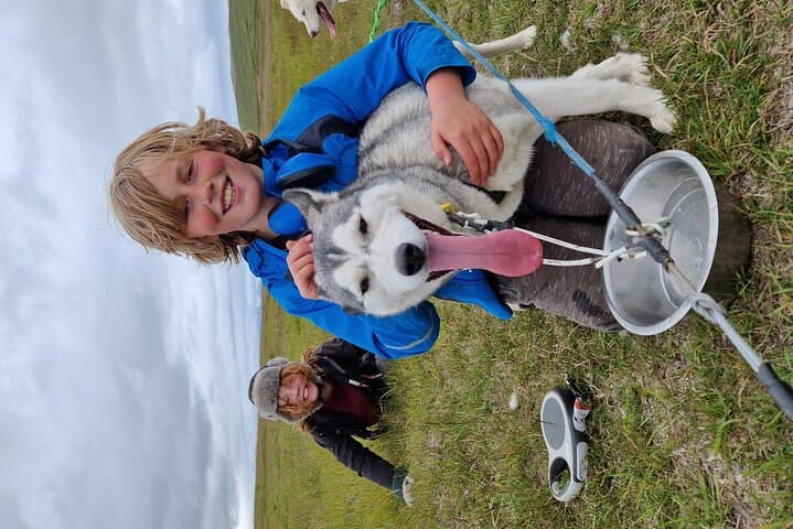 Dog Sledding and Mushing Experience by Siberian Husky in Iceland 3