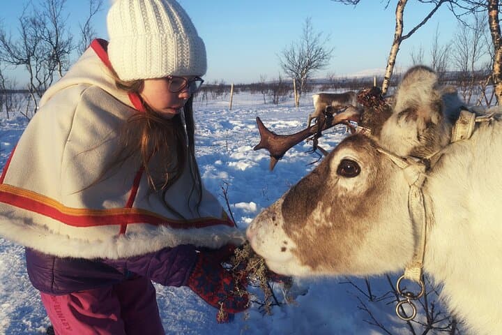 Guided Tour to Icehotel and Jukkasjärvi