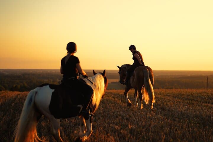 Horseback Riding in the Landscape 5