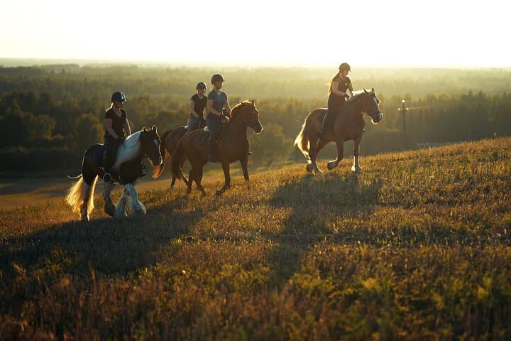 Horseback Riding in the Landscape 2