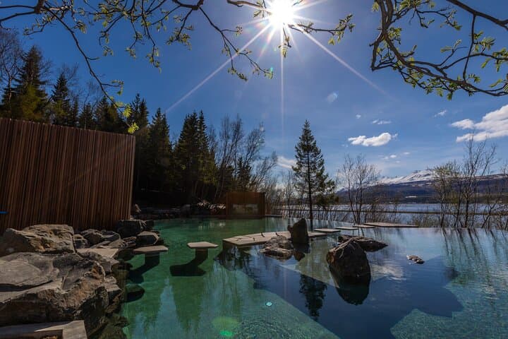 Forest Lagoon and Northern Lights Guided Night Tour 2