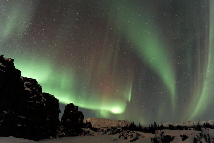 Forest Lagoon and Northern Lights Guided Night Tour 4