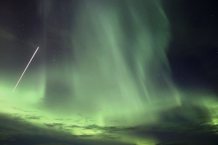 Forest Lagoon and Northern Lights Guided Night Tour 5