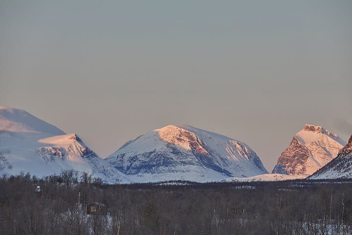 Half day Wildlife and Nature Photography 5