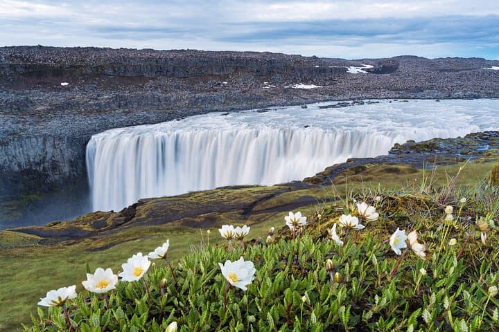Dettifoss and Goðafoss Waterfall Small Group from Akureyri Port 2