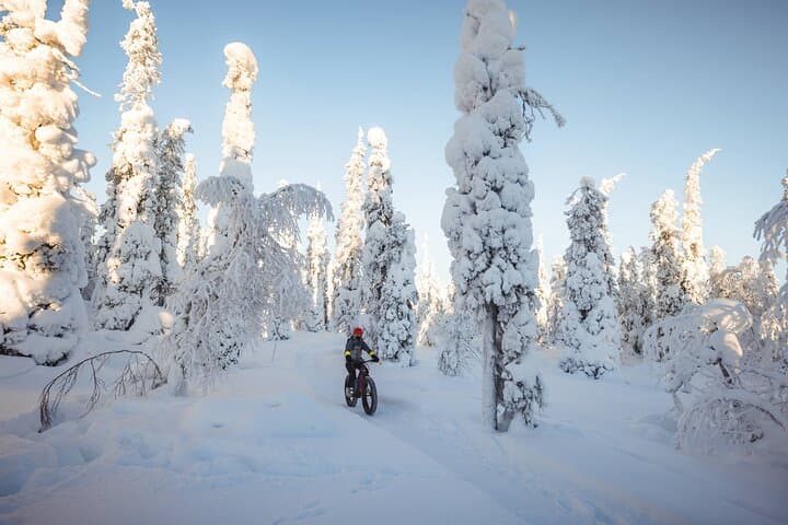 Amethyst Mine Tour by Electric Fatbike 2