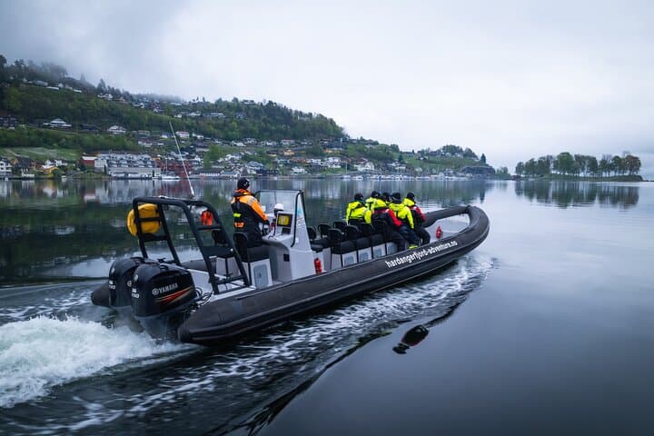 Scenic Hardangerfjord & Fyksesund RIB adventure from Norheimsund 2