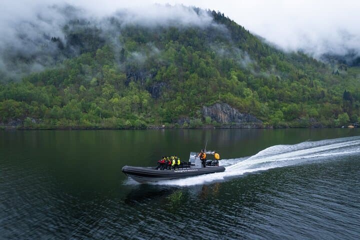 Hardangerfjord RIB Safari to Secluded Fyksesund from Norheimsund