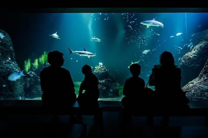 Gothenburg Universeum Ticket - Aquarium, Science, Wildlife, Zoo 2