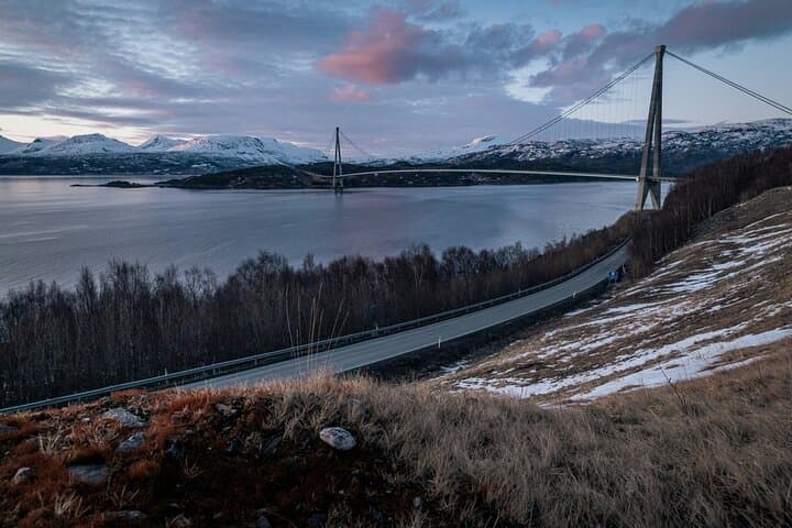 From Kiruna: Narvik City and Fjord Day Trip 5