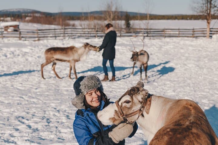 Visit the Sami and Reindeer in a Day Trip from Abisko 2