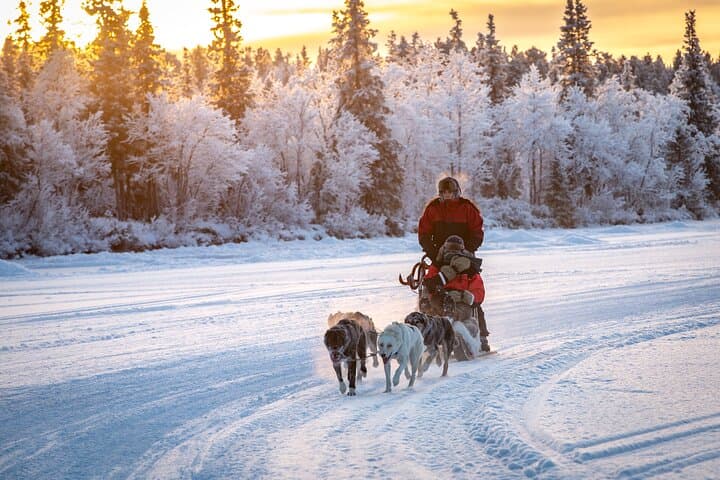 Polar Sunrise Eco Experience (10:00-13:00- driving the sled)