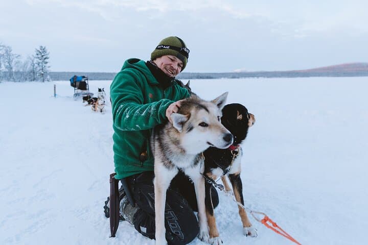 Dog sledding excursion to Kiruna 3