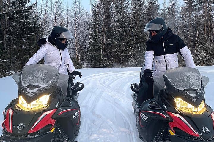 Snowmobile drive experience 2