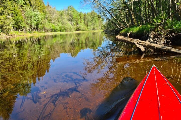 Half- day trip from Oslo: Kayak and Canoe Tour in Lake Bogstad 5