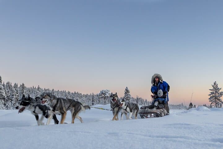 Arctic Afternoon Eco Experience (14:00-17:00- driving the sled) 2