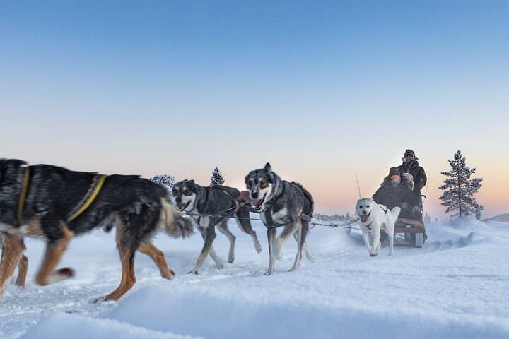 Sunset Zen Husky Tour 2