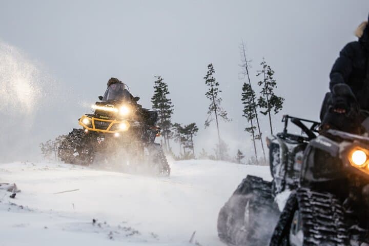 Private Expedition: INTO THE WILD Safari & Lunch in Glass Igloo 5