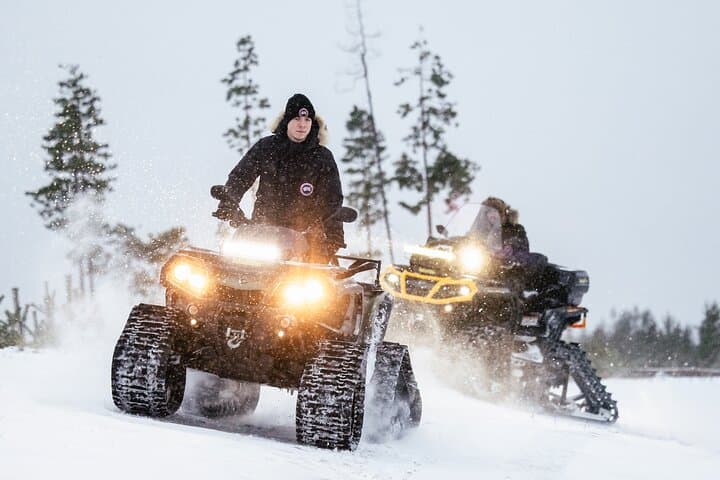 Private Expedition: INTO THE WILD Safari & Lunch in Glass Igloo 2
