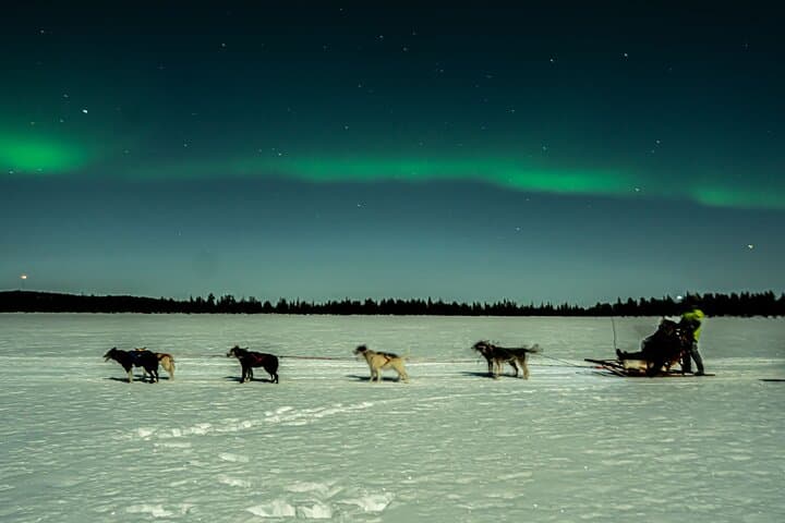 Aurora Borealis Dogsled Tour 2