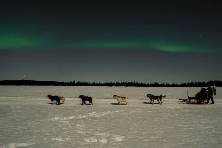 Aurora Borealis Dogsled Tour 3