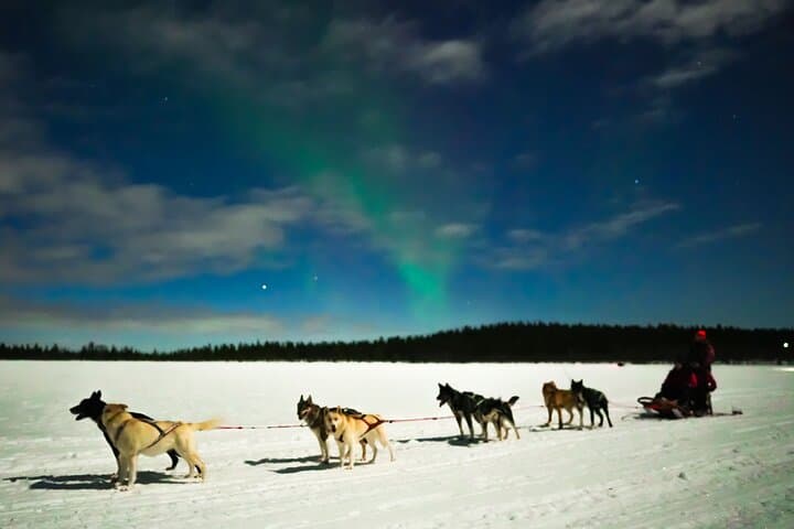 Aurora Borealis Dogsled Tour 4