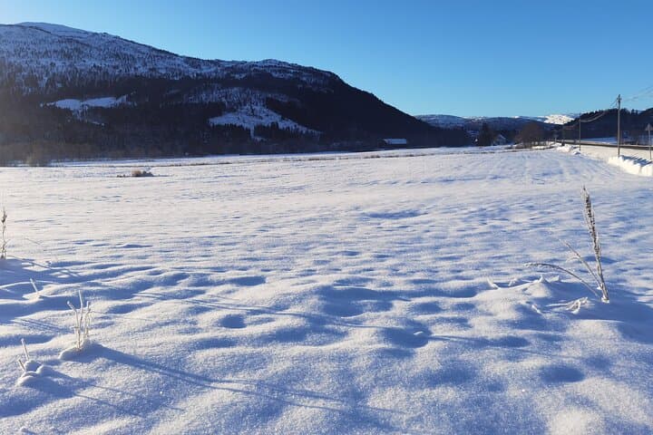 1Day Tour from Bergen to Flåm, Nærøyfjord Cruise & Stegastein 4