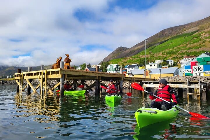 Private: Guided kayak tour in Siglufjörður / Siglufjordur. 5