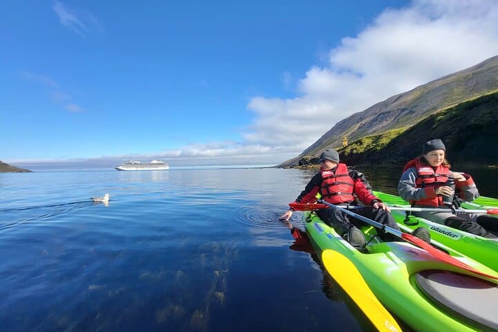 Private: Guided kayak tour in Siglufjörður / Siglufjordur. 4