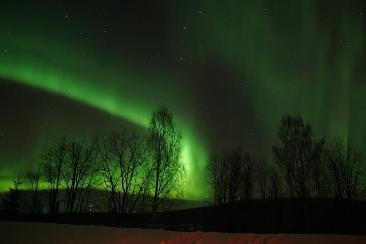 Northern Lights Rovaniemi – The Real Unlimited Adventure 5
