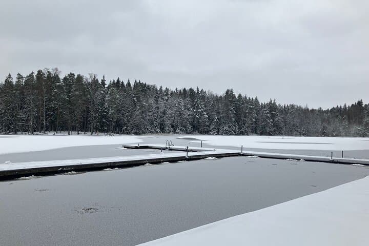 Traditional Smoke Sauna Experience and National Park Visit 5