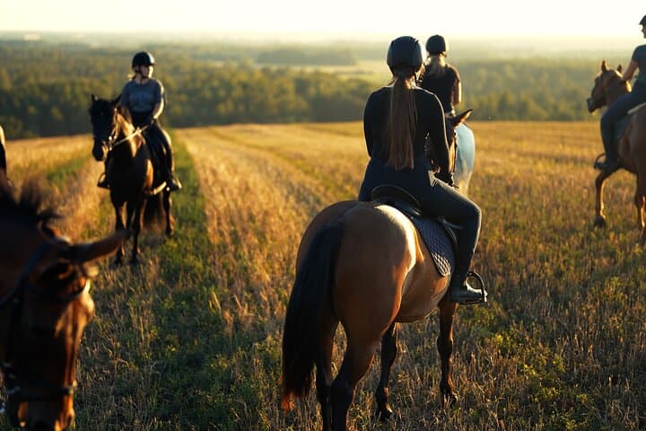 Horseback Riding in the Landscape 4