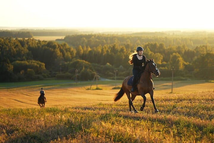 Horseback Riding in the Landscape 3